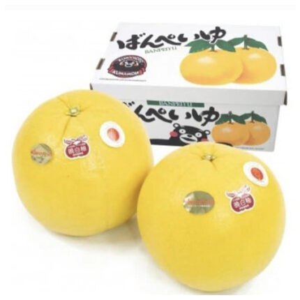 Banpeiyu Pomelo | Kumamoto Prefecture | M Size