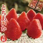 Tochiaika Strawberry | New Variety (Premium) | Tochigi Prefecture