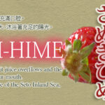 Sanukihime Strawberry | Kagawa Prefecture