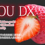 Amaou Strawberry | Deluxe (DX) Grade | Fukuoka Prefecture