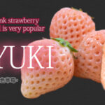 Awayuki Strawberry