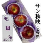 Akibae Apple | Nagano Prefecture | 4L Size