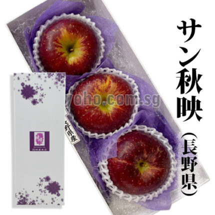Akibae Apple | Nagano Prefecture | 4L Size
