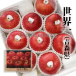 Sekaiichi Apple | Aomori Prefecture | 10 Pcs