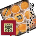 Matohyo Mikan (Luxury Grade - Akashu) (Seedless) | Wakayama Prefecture | 2L Size