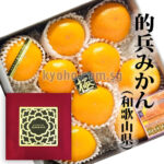 Matohyo Mikan (Luxury Grade - Akashu) (Seedless) | Wakayama Prefecture | L Size
