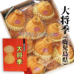 Daimasaki Dekopon (Seedless) | Kagoshima Prefecture | 8 Pcs