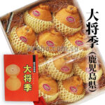 Daimasaki Dekopon (Seedless) | Kagoshima Prefecture | 10 Pcs