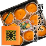 Arida - Shindo Mikan (Seedless) | Wakayama Prefecture | 2L Size