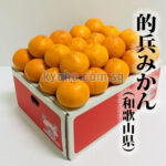 Matohyo Mikan (Luxury Grade - Akashu) (Seedless) | Wakayama Prefecture | M Size