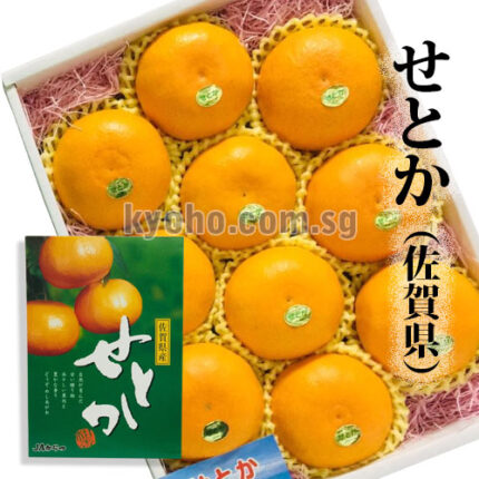 Setoka Orange (Seedless) | Saga Prefecture | 10 Pcs 3kg