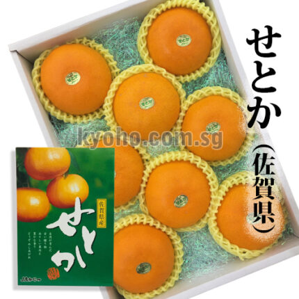 Setoka Orange (Seedless) | Saga Prefecture | 8 Pcs 3kg
