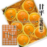 Kanpei Orange | Ehime Prefecture | 8 Pcs
