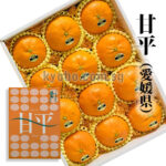 Kanpei Orange | Ehime Prefecture | 12 Pcs