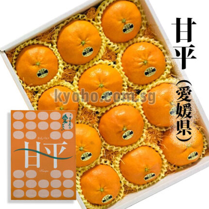 Kanpei Orange | Ehime Prefecture | 12 Pcs