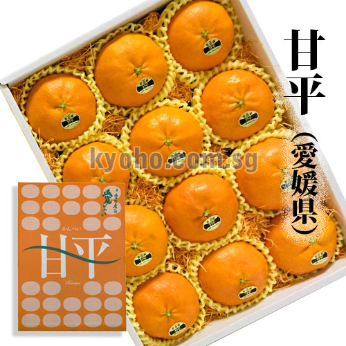 Kanpei Orange | Ehime Prefecture | 12 Pcs