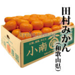 Tamura Mikan | Wakayama Prefecture - L Size (35 Pieces)