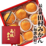 Kominami Farm Direct Special Selected Tamura Mikan | Wakayama Prefecture | 2L Size