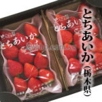 Tochiaika Strawberry | New Variety (Premium) | Tochigi Prefecture