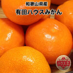 Arida House Mikan | Wakayama Prefecture