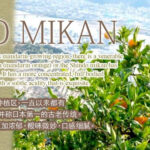 Arida - Shindo Mikan (Seedless) | Wakayama Prefecture