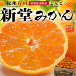 Arida - Shindo Mikan (Seedless) | Wakayama Prefecture