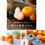 Arida - Shindo Mikan (Seedless) | Wakayama Prefecture