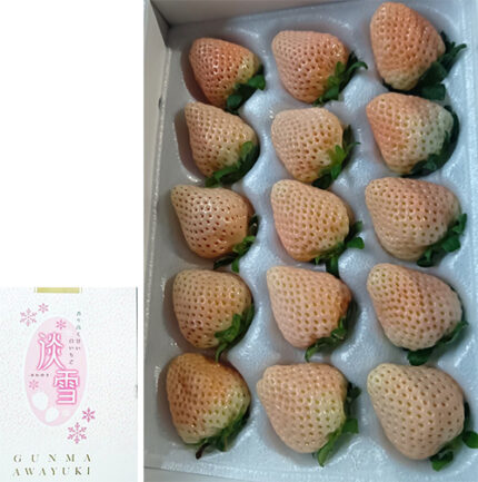 Awayuki Strawberry | Gunma Prefecture