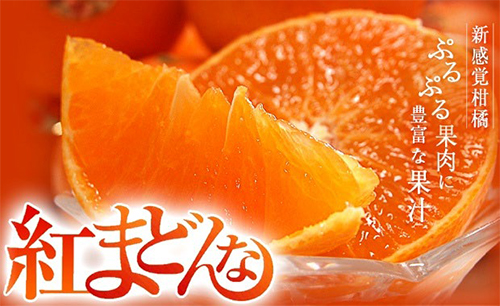 Beni Madonna Orange (Seedless) | Ehime Prefecture