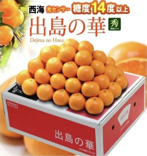 Dajima No Hana Mikan