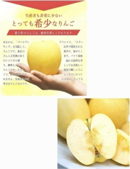 Haruka Golden Honey Apple