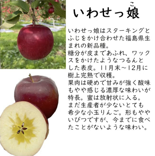 Iwasekko Honey Apple (Yamagata Prefecture)