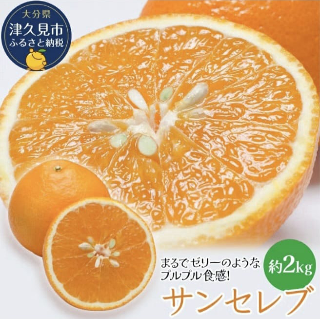 Jelly Orange Sun Celeb