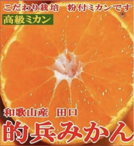 Matohyo Orange