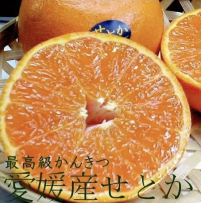 Setoka Orange Ehime