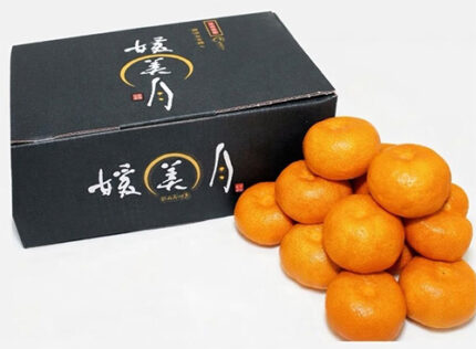 Hime Tsuki Mikan (Premium Grade - Tokushu Shu) | Ehime Prefecture | M Size