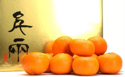 Hinomaru Mikan | Ehime Prefecture | L Size 35 Pcs