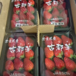 Kotoka Premium Strawberry | Nara Prefecture | 2L Size