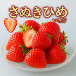 Sanukihime Strawberry | Kagawa Prefecture