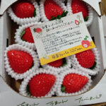 Sanukihime Strawberry | Kagawa Prefecture | Gift Box