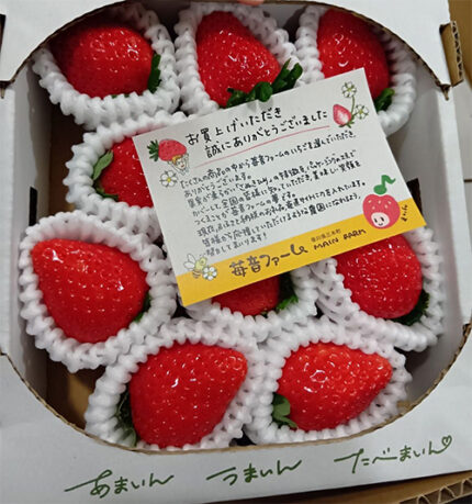 Sanukihime Strawberry | Kagawa Prefecture | Gift Box