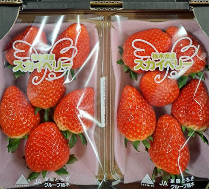 Skyberry Strawberry | Tochigi Prefecture | Pack 6 Pcs