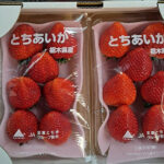 Tochiaika Strawberry | Deluxe (Premium) | Tochigi Prefecture
