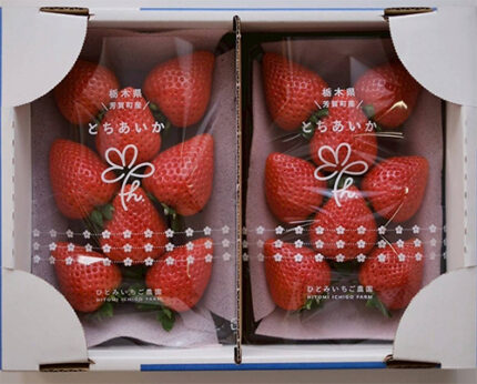Tochiaika Strawberry | Deluxe Grade - Farm Direct | Tochigi Prefecture