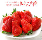 Kirapika Strawberry | Shizuoka Prefecture