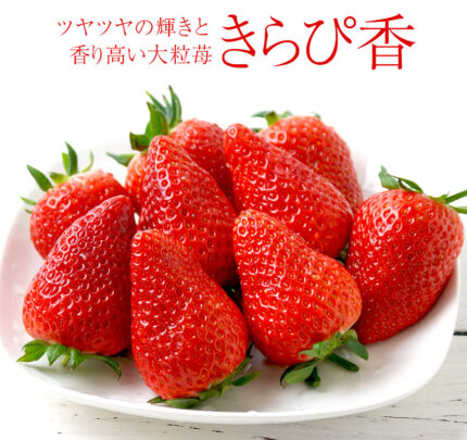 Kirapika Strawberry | Shizuoka Prefecture