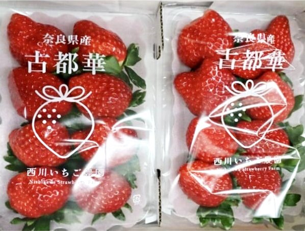 Kotoka Premium Strawberry | Nara Prefecture
