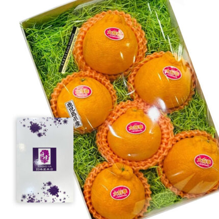 Daimasaki Dekopon | Seedless | Kagoshima Prefecture