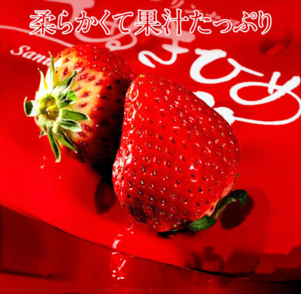 Sanuki-hime Strawberry | Kagawa Prefecture