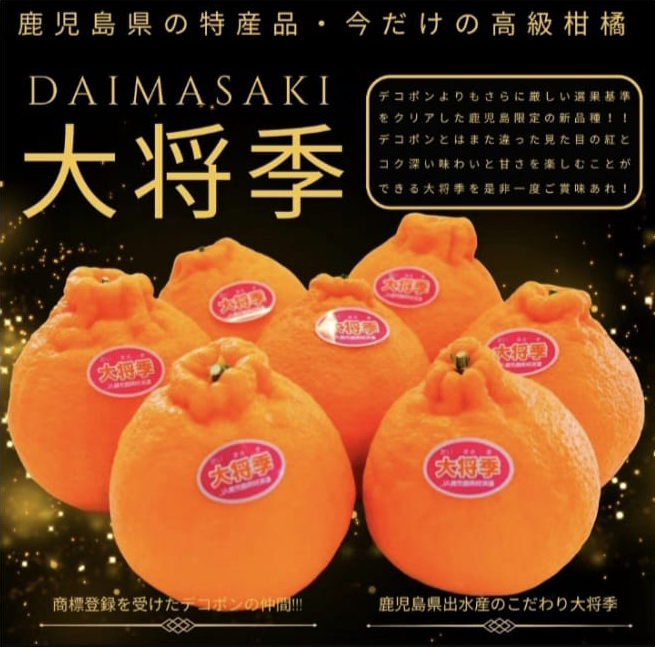 Daimasaki Dekopon | Seedless | Kagoshima Prefecture